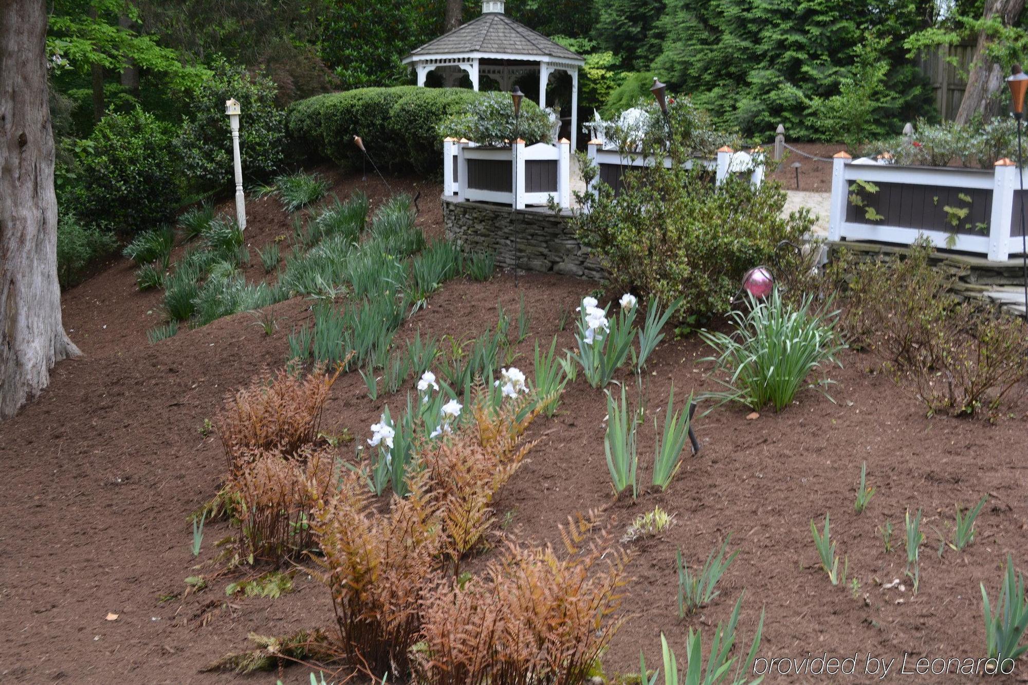 Cedars Of Williamsburg Bed & Breakfast Exterior photo